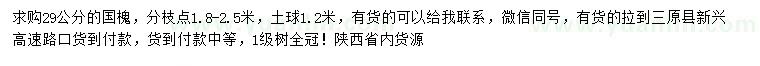 求購29公分國槐