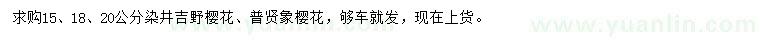 求購(gòu)15、18、20公分染井吉野櫻花、普賢象櫻花
