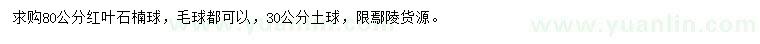 求購80公分紅葉石楠球