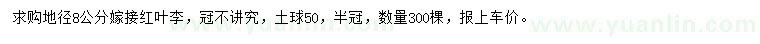 求購地徑8公分嫁接紅葉李