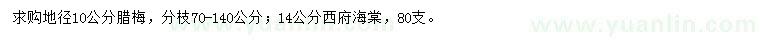 求購(gòu)地徑10公分臘梅、14公分西府海棠