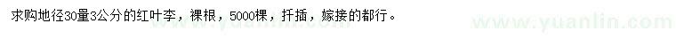 求購(gòu)30量3公分紅葉李