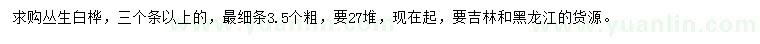 求購叢生白樺