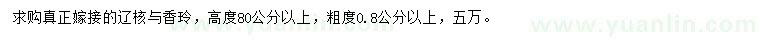 求購高度80公分以上嫁接的遼核與香玲 