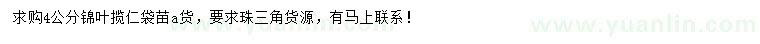 求購(gòu)4公分錦葉攬仁
