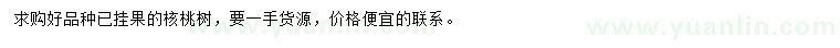 求購核桃樹
