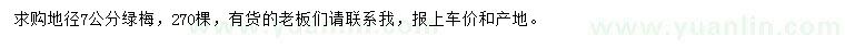 求購地徑7公分綠梅