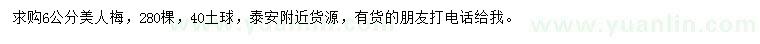 求購6公分美人梅