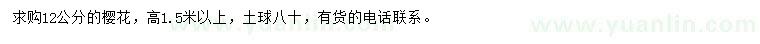 求購12公分櫻花
