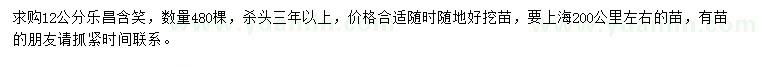 求購12公分樂昌含笑
