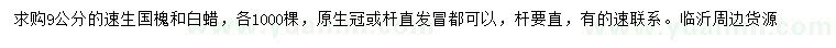 求購9公分速生國槐、白蠟