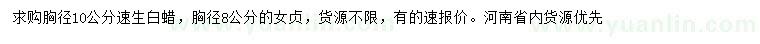 求購胸徑10公分速生白蠟、胸徑8公分女貞