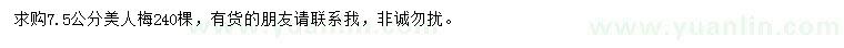 求購(gòu)7.5公分美人梅
