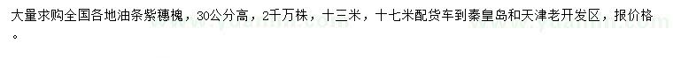 求購(gòu)高30公分油條紫穗槐