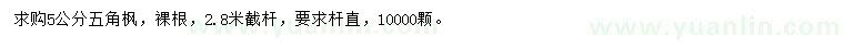 求購5公分五角楓