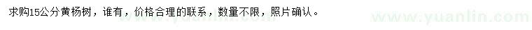 求購(gòu)15公分黃楊樹(shù)