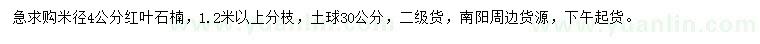 求購米徑4公分紅葉石楠
