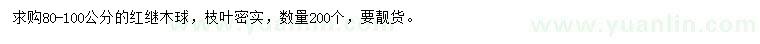 求購80-100公分紅繼木球