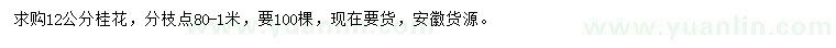 求購12公分桂花
