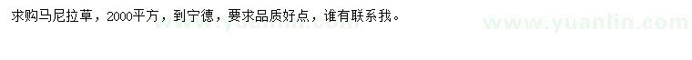 求購馬尼拉草