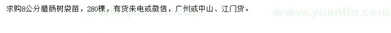 求購(gòu)8公分臘腸樹(shù)
