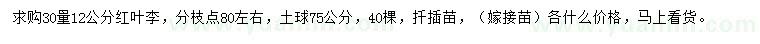 求購30量12公分紅葉李