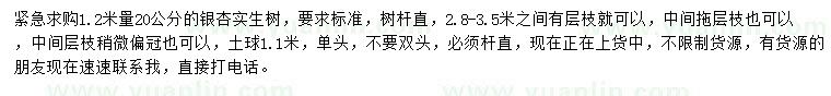 求購1.2米量20公分銀杏實生樹