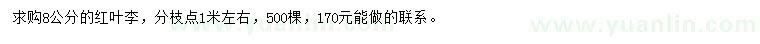 求購8公分紅葉李