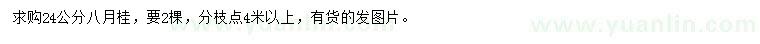 求購(gòu)24公分八月桂