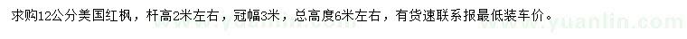 求購12公分美國紅楓