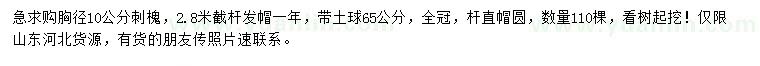 求購胸徑10公分刺槐
