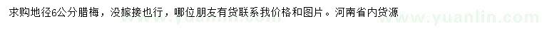 求購地徑6公分臘梅