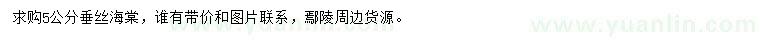求購5公分垂絲海棠