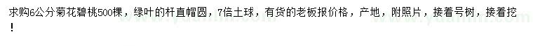 求購(gòu)6公分菊花碧桃