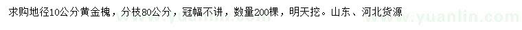 求購地徑10公分黃金槐