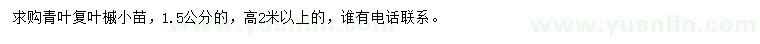 求購(gòu)1.5公分青葉復(fù)葉槭小苗