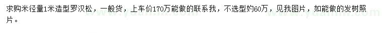 求購米徑1米造型羅漢松