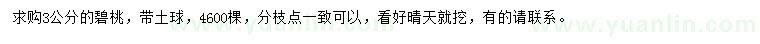 求購3公分碧桃