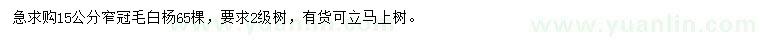 求購(gòu)15公分窄冠毛白楊