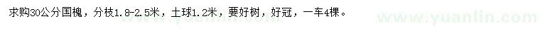 求購(gòu)30公分國(guó)槐