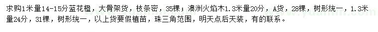求購(gòu)1米量14-15公分藍(lán)花楹、1.3米量20、24公分澳洲火焰木