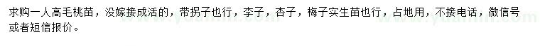 求購毛桃苗