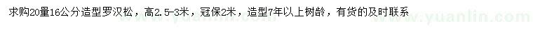 求購(gòu)20量16公分造型羅漢松
