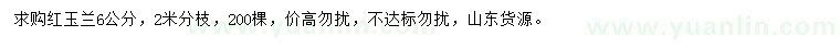 求購6公分紅玉蘭