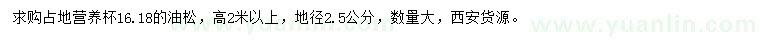 求購高2米以上油松