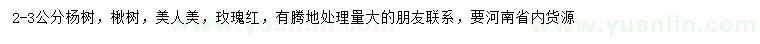 求購楊樹、楸樹、美人美等