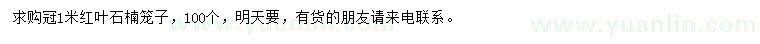 求購冠1米紅葉石楠籠子