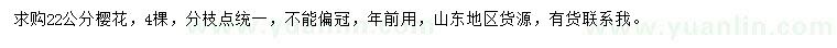 求購22公分櫻花