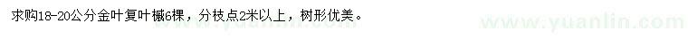 求購(gòu)18-20公分金葉復(fù)葉槭