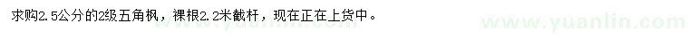 求購2.5公分五角楓
